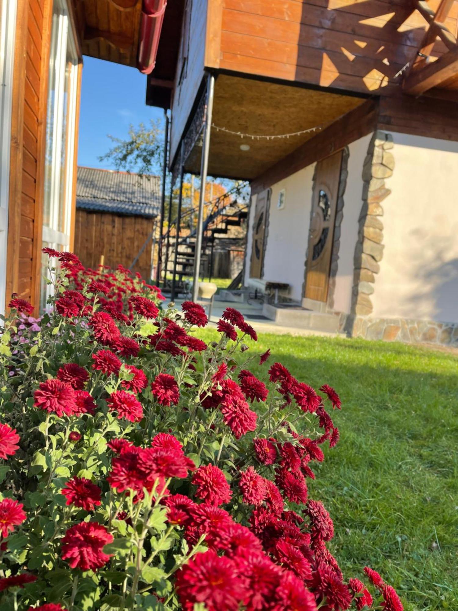 Villa Pidkova Verkhovyna Exterior foto